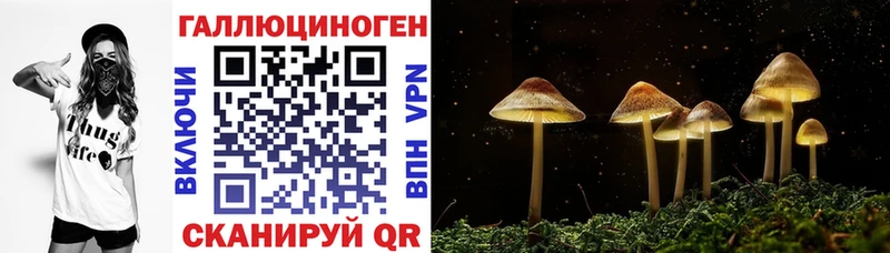 Псилоцибиновые грибы прущие грибы  Братск 